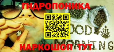 скорость Рузаевка